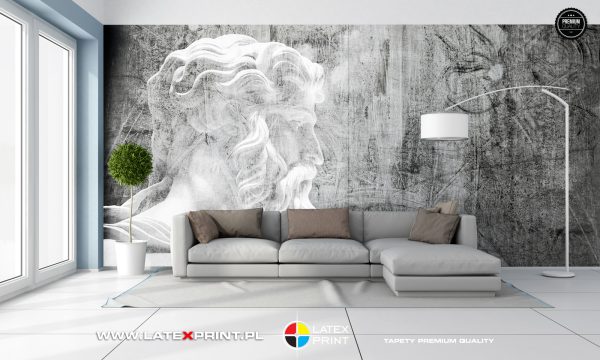 Seria grafik GREY ART tapety naklejki plakaty