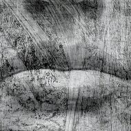 Grey Art kolekcja autorska tapet | Nefretete - obrazek 3