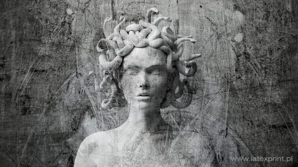 Seria grafik GREY ART tapety naklejki plakaty MEDUZA GORGONA