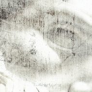 Grey Art kolekcja autorska tapet | Zeus II - obrazek 3