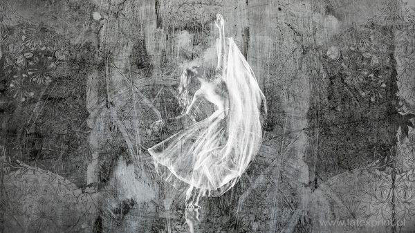 Seria grafik GREY ART tapety naklejki plakaty