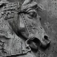 Seria grafik GREY ART tapety naklejki plakaty Sobieski