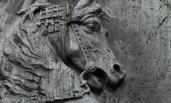 Seria grafik GREY ART tapety naklejki plakaty Sobieski