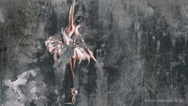 Seria grafik GREY ART tapety naklejki plakaty Balerina Balet