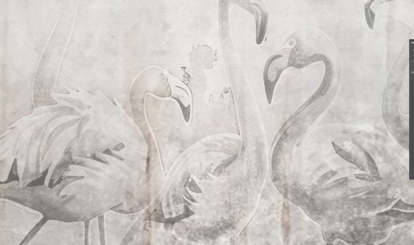 Flamingi - tapeta na wymiar